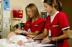 Bachelor of Science in Nursing Overview of the Curriculum   Samuel     Jersey College