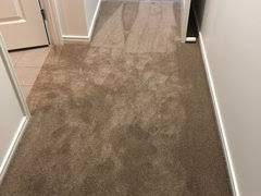 carpet options that wont show