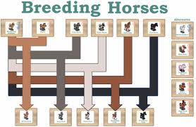 Horse Breeding Chart Farmville Neighbours