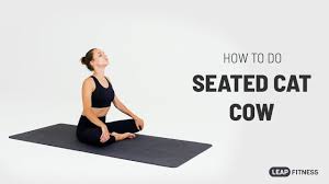 how to do seated cat cow you