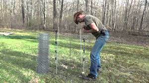 how to protect young trees from deer