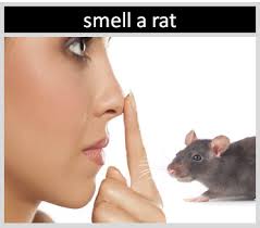 smell a rat origin and meaning