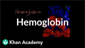 Hemoglobin Video Human Biology Khan Academy