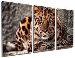 Metal Print Amur Leopard Wall Art