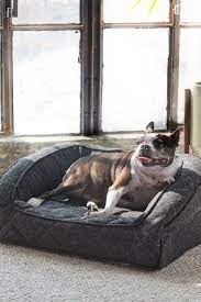 Eco Friendly Dog Beds Your Sustainable
