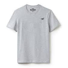 Hollister T Shirt Mens Short Sleeve Classic Seagull Logo Printed Short Sleeve Cotton Tee Sweatshirt