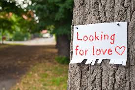 looking for love