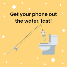 drop your phone in the toilet