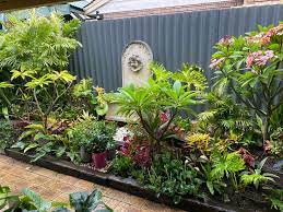 Tropical Garden Plants Tropical Garden