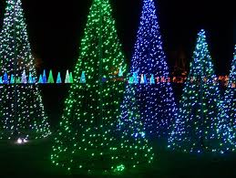 The Emerald Forest On The Great Lawn Magic Christmas In