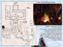 The breeding zone