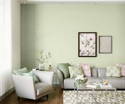 Discover Minty Ale Wall Paint Colour
