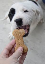 homemade dog treats three ing