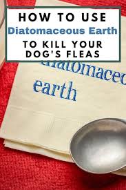how to use diatomaceous earth for dog s