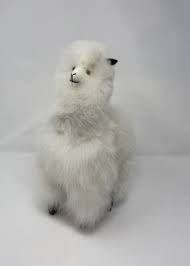alpaca stuffed standing 12