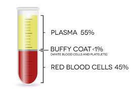 dna purification using buffy coat