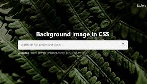 how to add background image in html