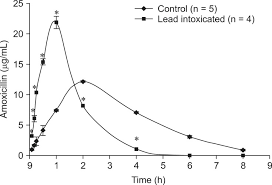 The Serum Concentration Time Profile Of Amoxicillin 10 Mg