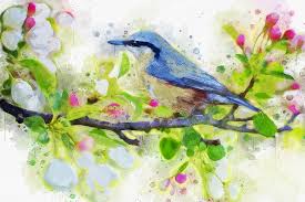Hd Wallpaper Birds Artistic Branch