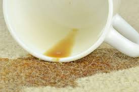 how to get coffee out of carpet