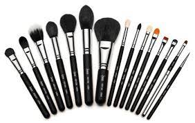 expensive makeup brushes worth it