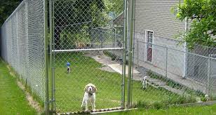 chain link dog fence offers a safety