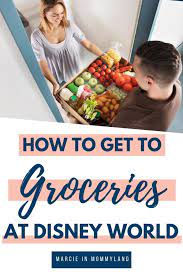 how to get groceries at disney world 2023