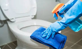 Clean Prevent Toilet Mold Mildew