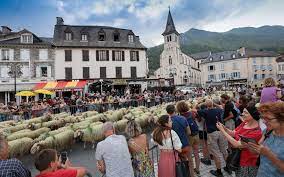 En images. La vallée d'Ossau réunie à Laruns pour célébrer la transhumance  - La République des Pyrénées.fr