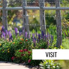 the gardens at texas a m university