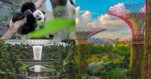 things to do in singapore attractions
