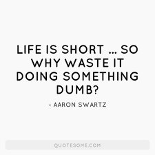 Life is short... So why waste it doing something dumb?&quot; - Aaron ... via Relatably.com