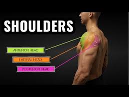 Shoulder Workout Routine 4 Exercises For Bigger Delts