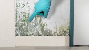 Clean And Get Rid Of Mold