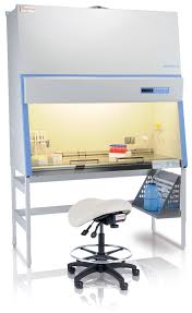 type a2 biological safety cabinet