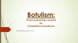 This is called latrogenic botulism. Botulism Food Poisoning Caused By Clostridium Botulinum Online Biology Notes