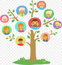 family tree genealogy clip art png