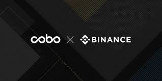 Download binance logo vector in svg file format. Cobo Wallet On Twitter Cobo Has Integrated With Binance Chain Now Cobo Wallet And Custody Is Supporting Bnb Storage More Collaboration To Come Soon Binance Cz Binance Keep Your Funds Safu With Cobo