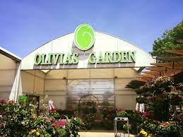 About Olivia S Garden
