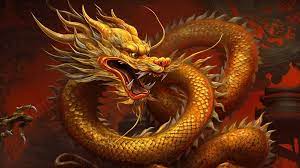 golden dragon chinese dragon wallpaper