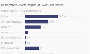 Do Whites Make Up The Largest Share Of Food Stamps