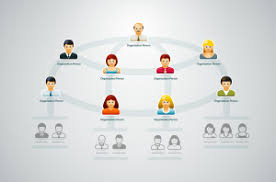 Why Hrs Organizational Structure Matters Hr C Suite