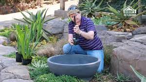 simple water feature