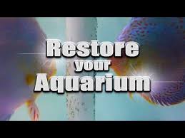 An Aquarium Remove Water Stains