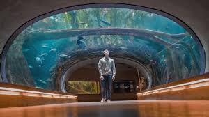 aquarium underwater dome