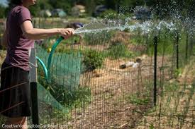 Watering Your Vegetable Garden