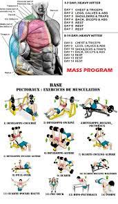 how to workout chest triceps guide