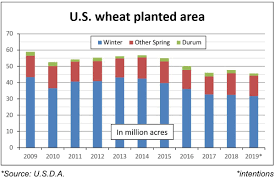 U S D A Sees Corn Planted Area Up 3 From 2018 Soybeans