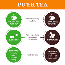 pu erh tea its benefits