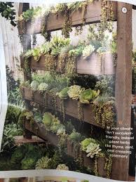 Vertical Succulent Wall To Create Shade